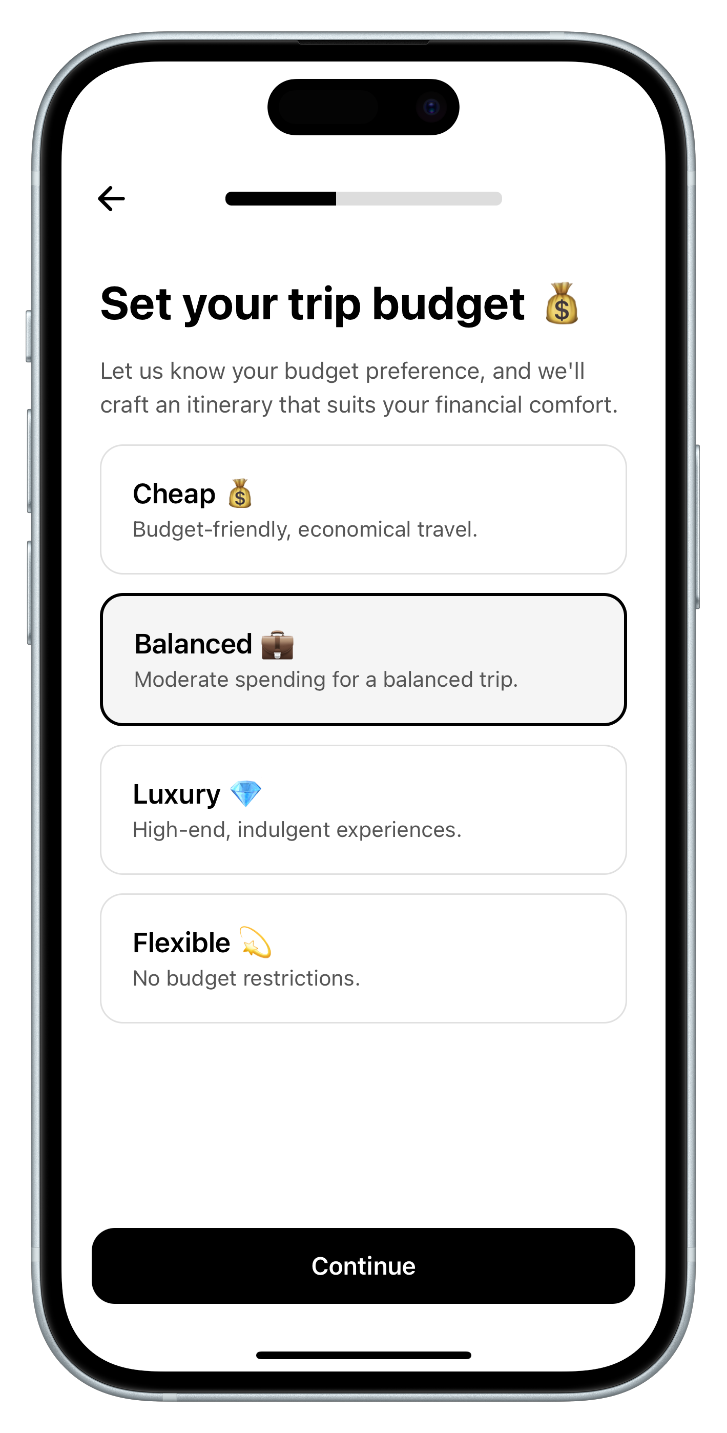 Set Budget Interface